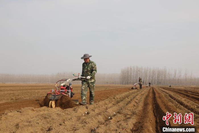 天顺娱乐登录：山东良种良技助春耕生产 尽显“科技范儿”